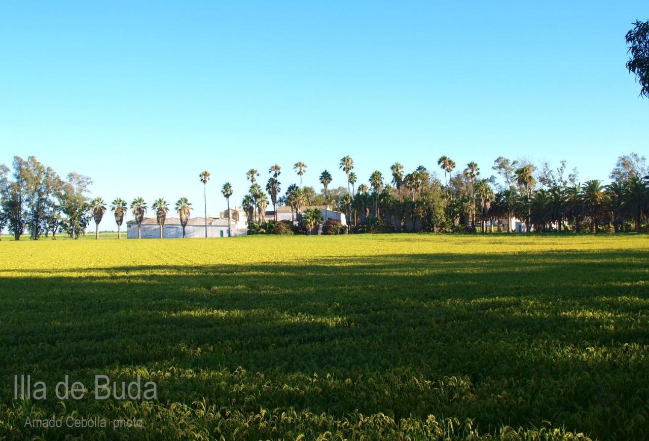 Villa Paquita - Delta De L'Ebre Deltebre Exterior photo