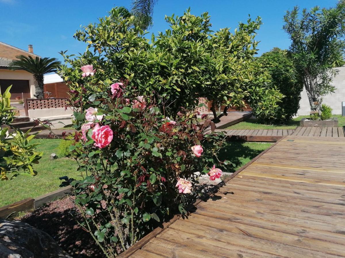 Villa Paquita - Delta De L'Ebre Deltebre Exterior photo